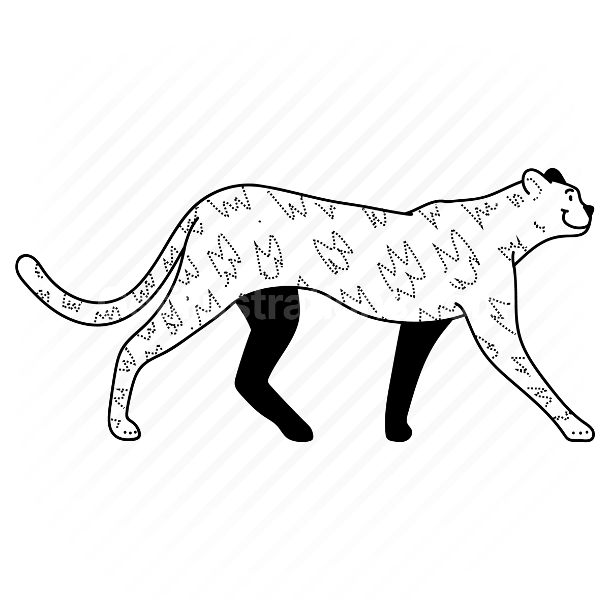 cheetah, feline, animal, wildlife, mammal, zoo, pattern